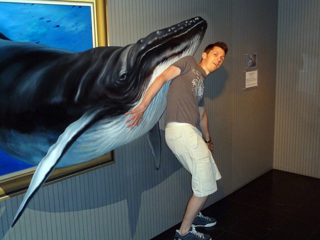 Trick Art Museum, Odaiba, Japan