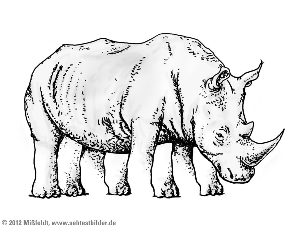 Nashorn mit vielen Beinen