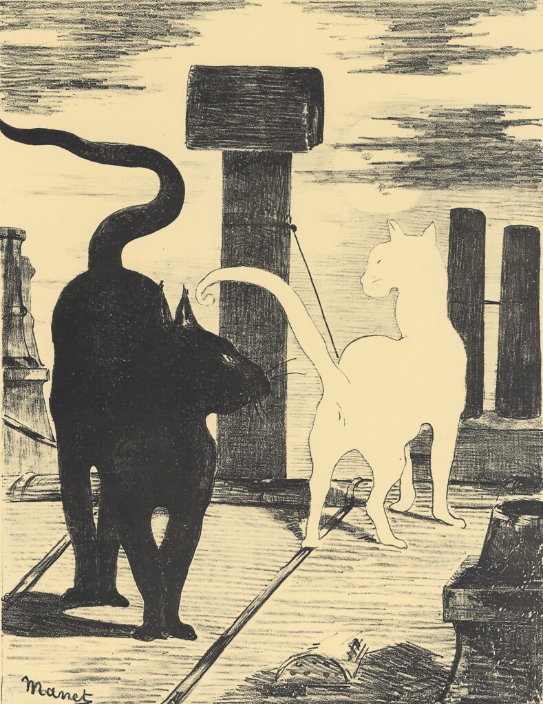 Das Rendezvous der Katzen