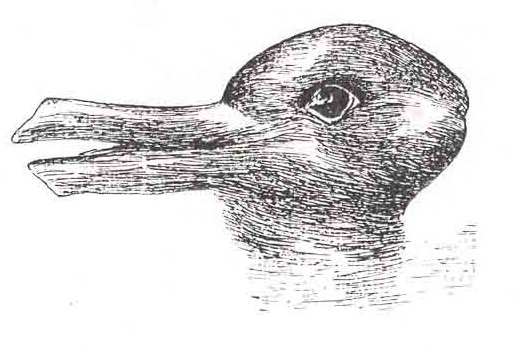 Hase oder Ente?
