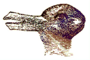Hase oder Ente?